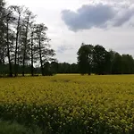 Am Waldrand Spreewald Guest house