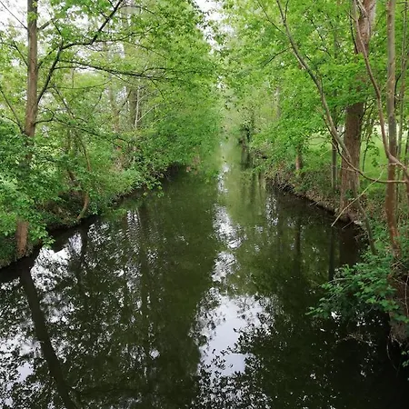 Am Waldrand Spreewald *