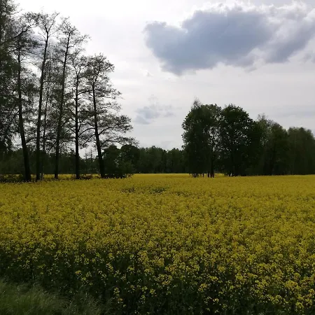 Am Waldrand Spreewald Vendégház