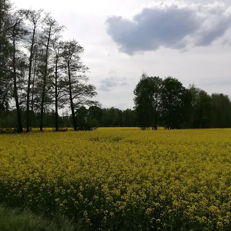Am Waldrand Spreewald بيت ضيافة