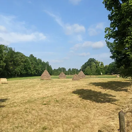 Am Waldrand Spreewald بورغ