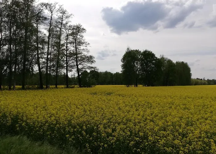 Am Waldrand Spreewald Pensionat