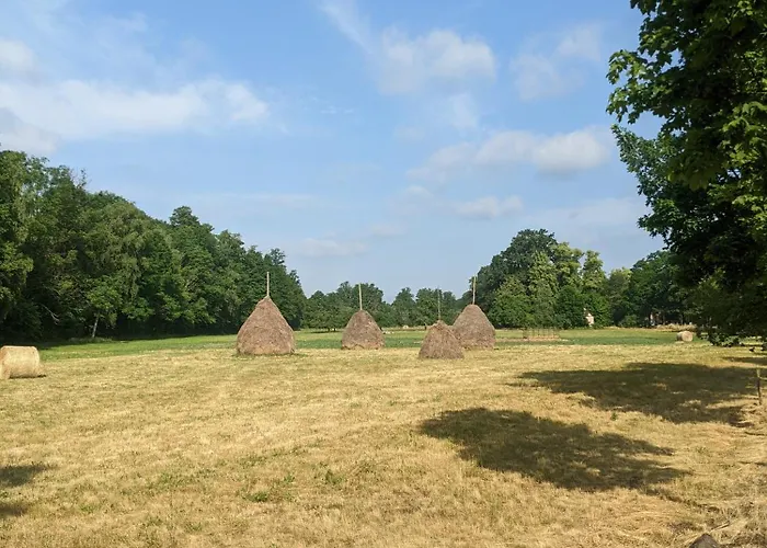 Am Waldrand Spreewald Burg (Spreewald)
