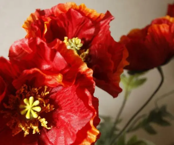 Pensionat Am Waldrand Spreewald 4*